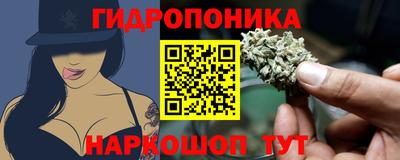 МДПВ Краснознаменск