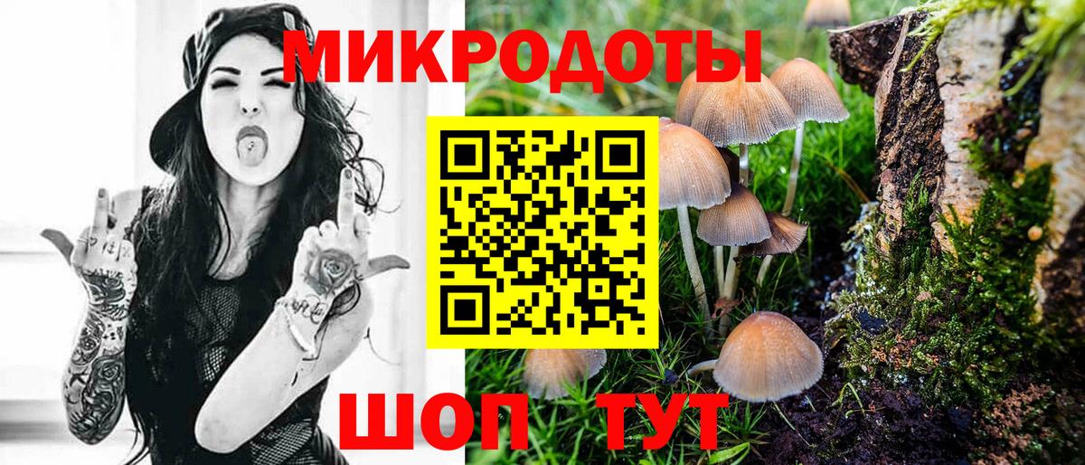 Псилоцибиновые грибы прущие грибы Зима