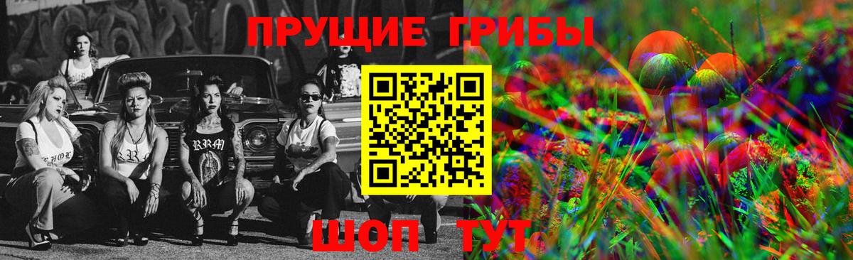 Псилоцибиновые грибы Psilocybe  Галлюциногенные грибы Cubensis  Зима  Вход с VPN 